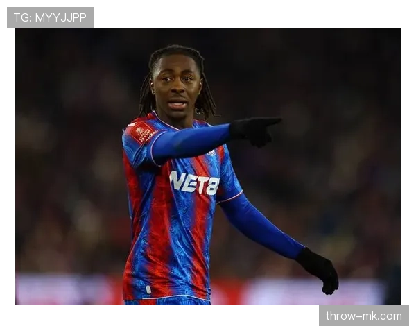 水晶宫冲击欧战席位，关键赛季迎挑战与机遇