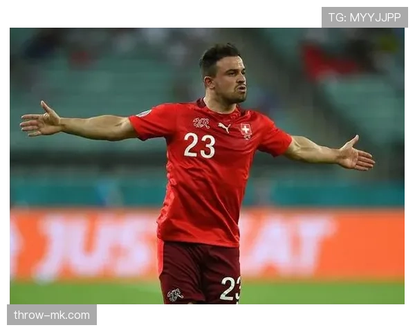 瑞士沙奇里边路王